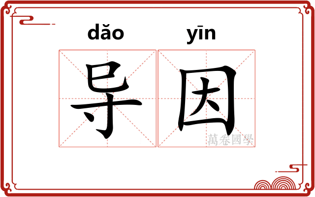导因
