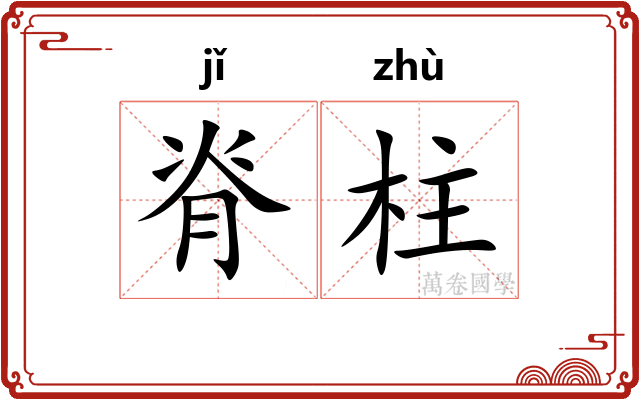 脊柱