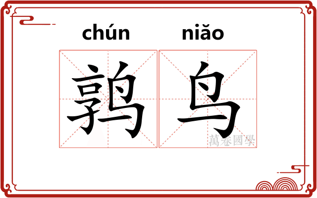 鹑鸟