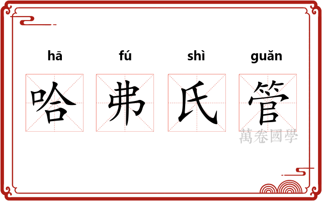 哈弗氏管