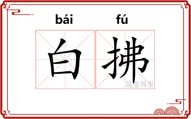 白拂 白拂