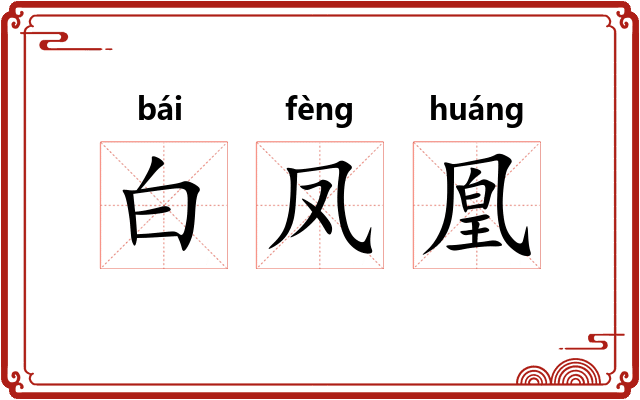 白凤凰 白凤凰