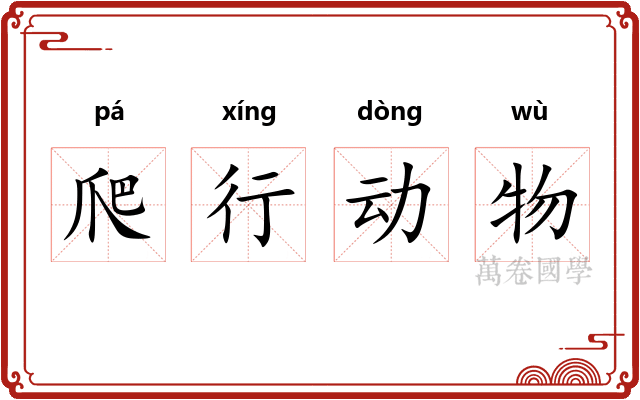 爬行动物 爬行动物