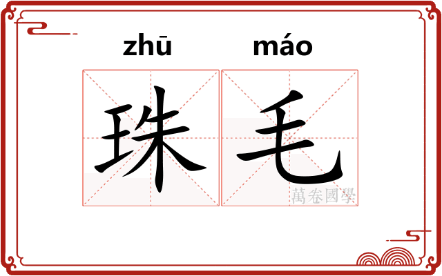 珠毛 珠毛