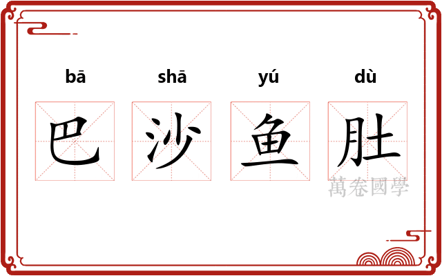 巴沙鱼肚