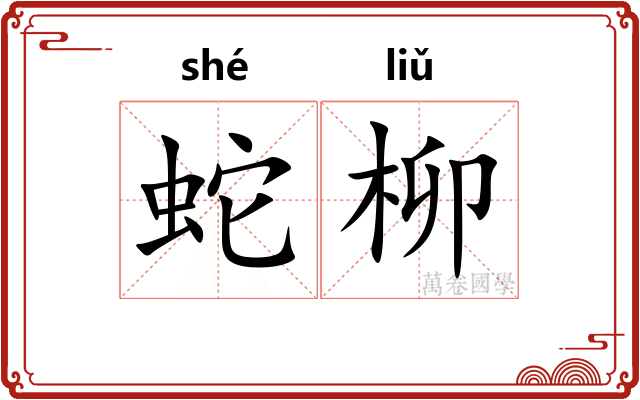 蛇柳