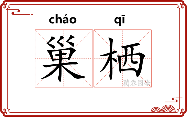 巢栖
