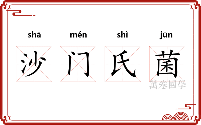沙门氏菌