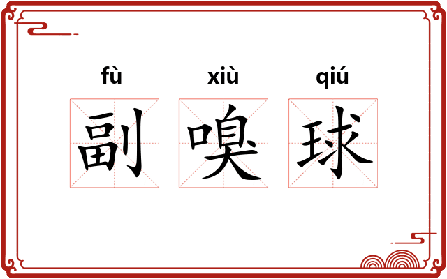 副嗅球