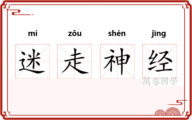 迷走神经