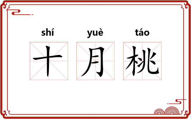 十月桃 十月桃