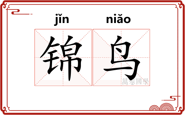 锦鸟