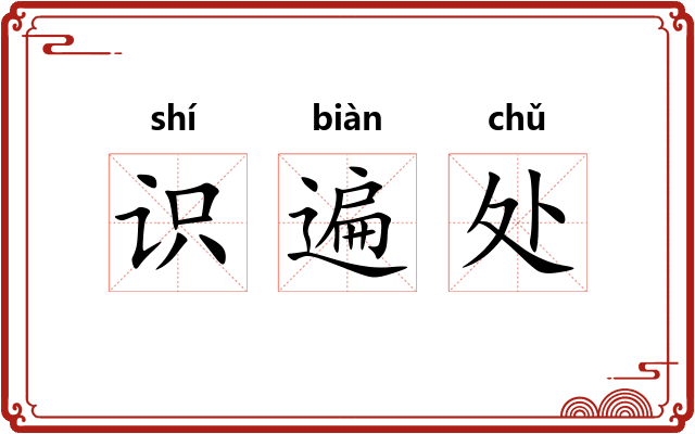 识遍处