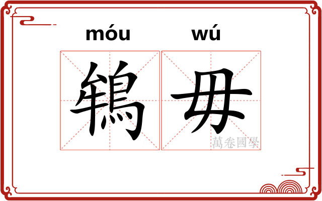 鴾毋