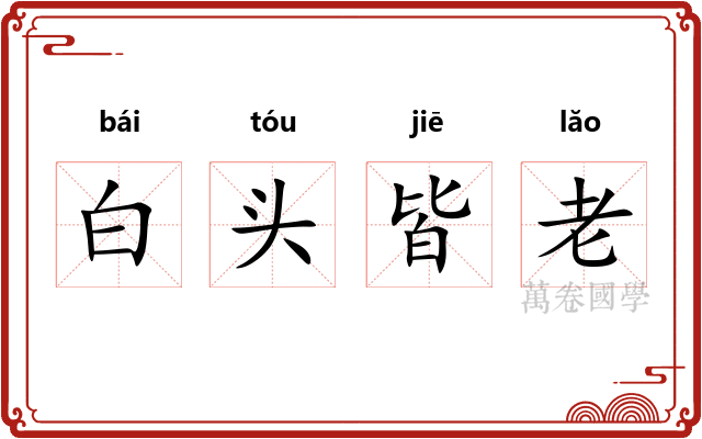 白头皆老