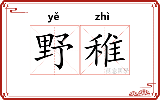 野稚