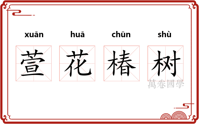 萱花椿树 萱花椿树