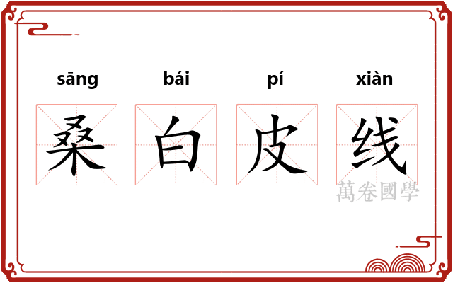 桑白皮线