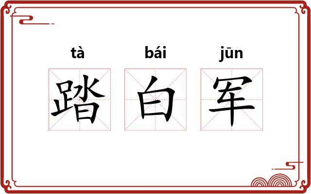 踏白军