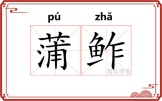 蒲鲊