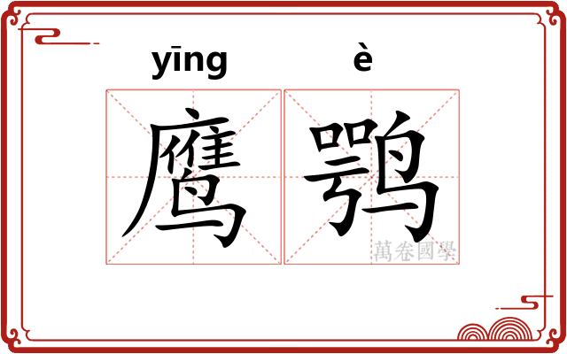 鹰鹗