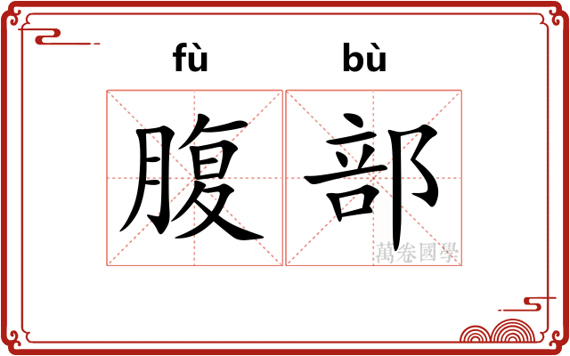 腹部