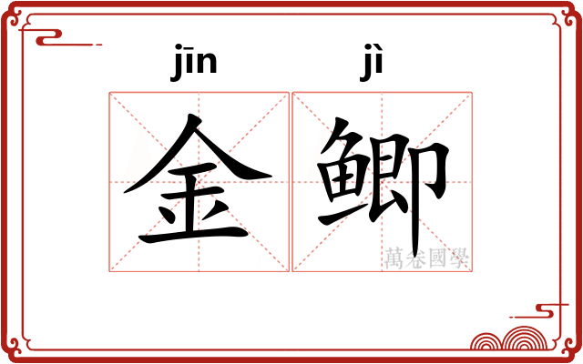 金鲫 金鲫