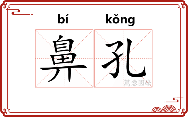 鼻孔