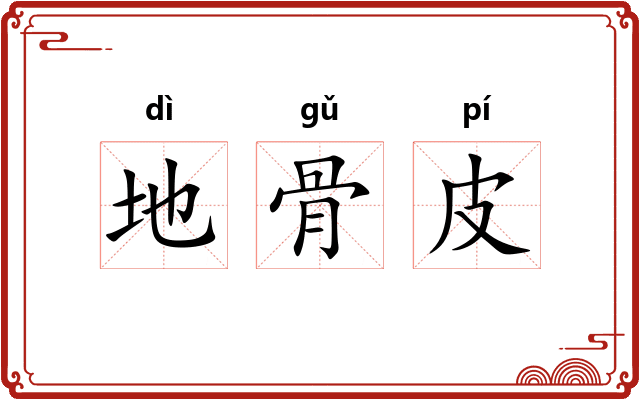 地骨皮 地骨皮