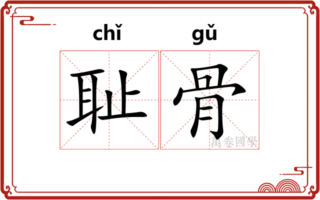 耻骨