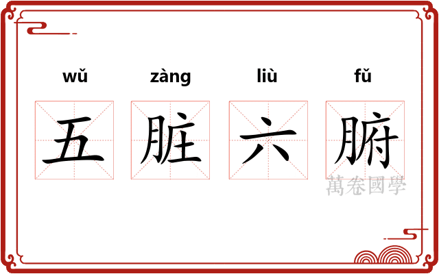 五脏六腑