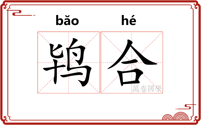 鸨合