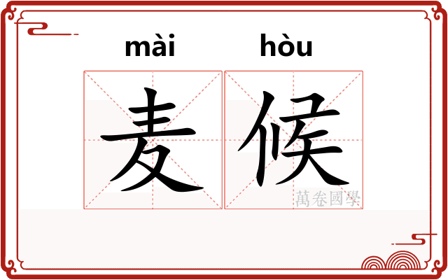 麦候