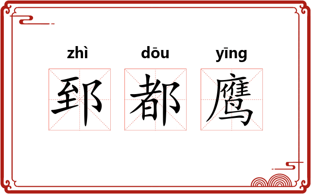 郅都鹰