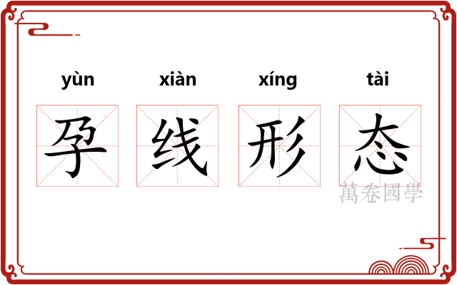 孕线形态