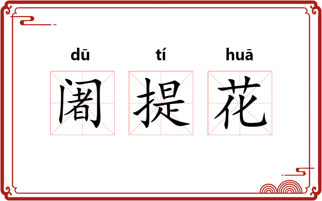 阇提花 阇提花