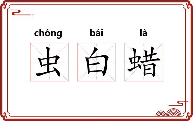 虫白蜡