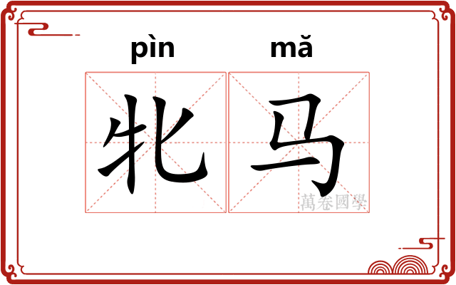 牝马
