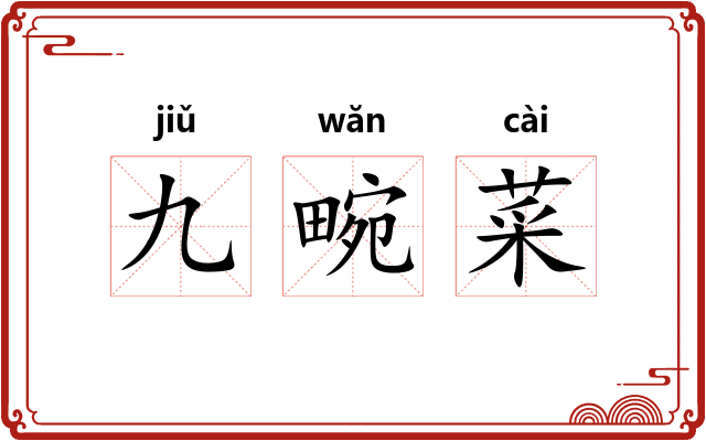 九畹菜
