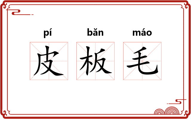 皮板毛 皮板毛