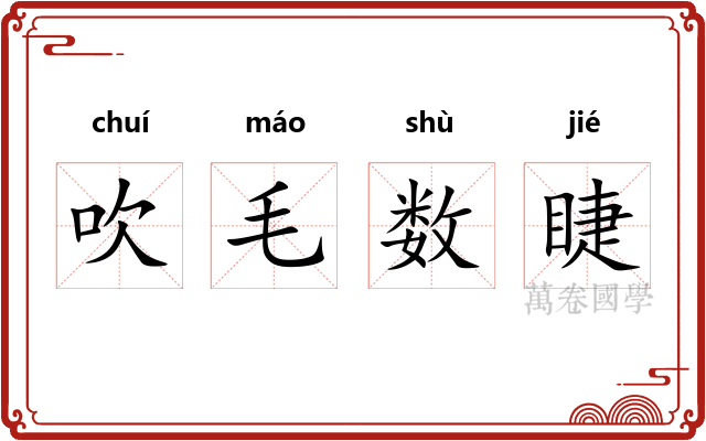 吹毛数睫