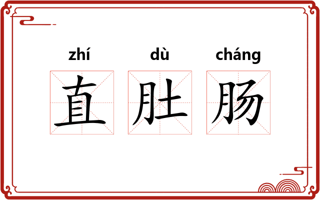 直肚肠 直肚肠
