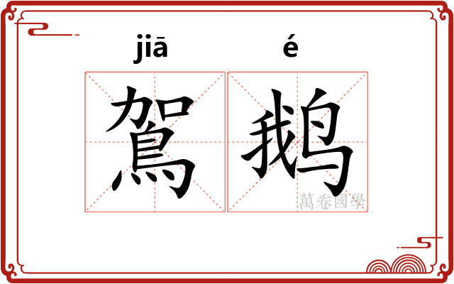 鴐鹅