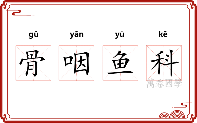 骨咽鱼科