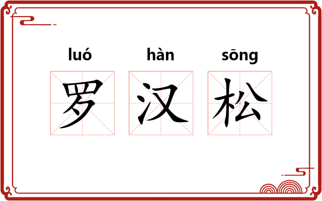 罗汉松