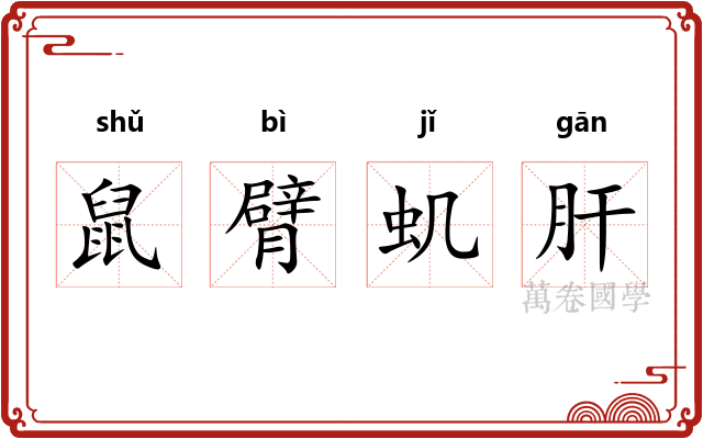 鼠臂虮肝 鼠臂虮肝