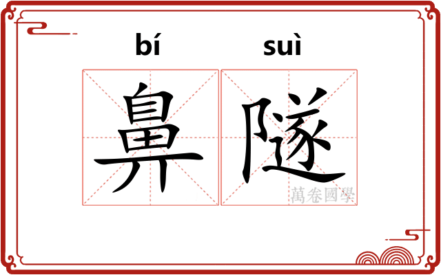 鼻隧