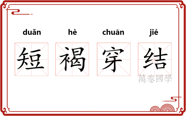 短褐穿结