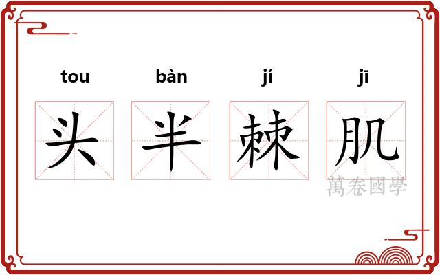 头半棘肌 头半棘肌