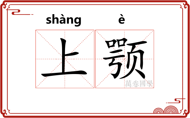 上颚